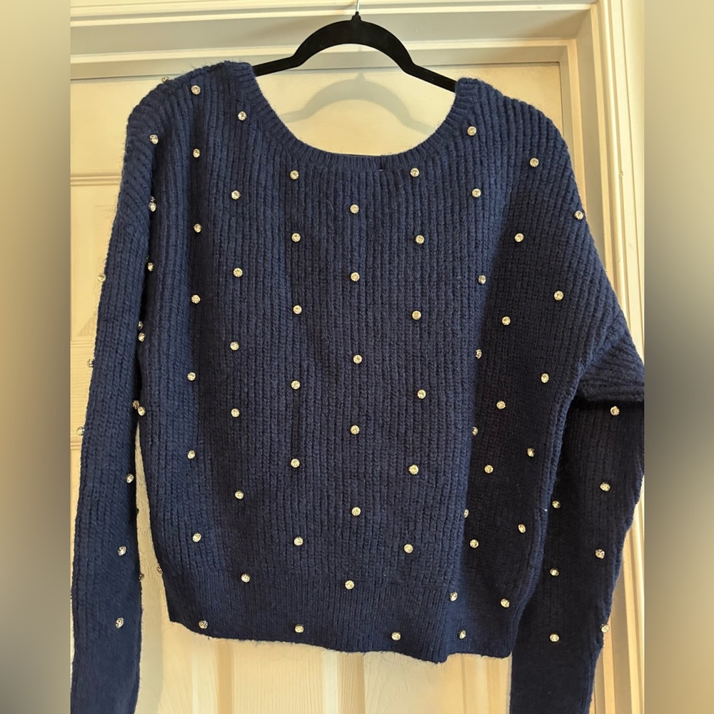 Express Deep Blue Knit Sweater